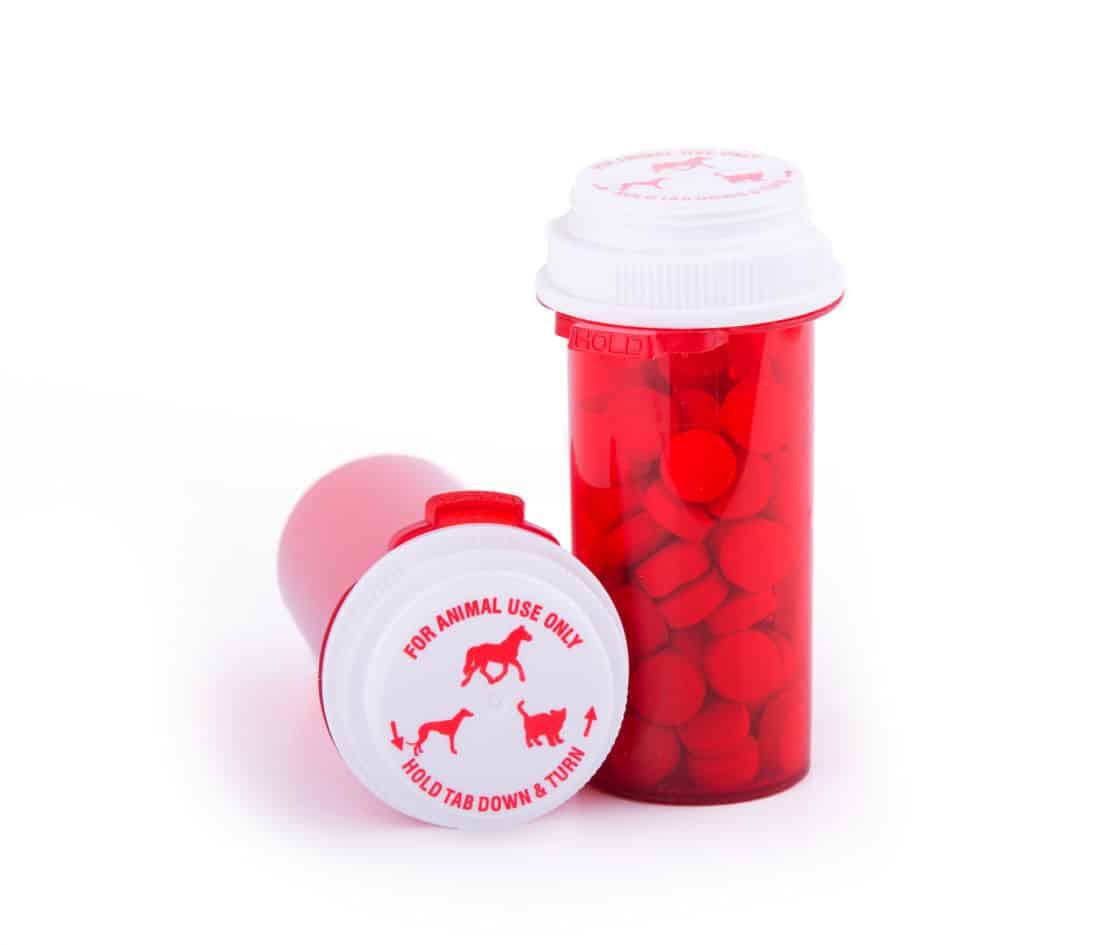 Pet Medication