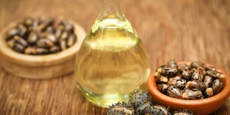 Uses of Castor Oil for Cats – A Full Guide
